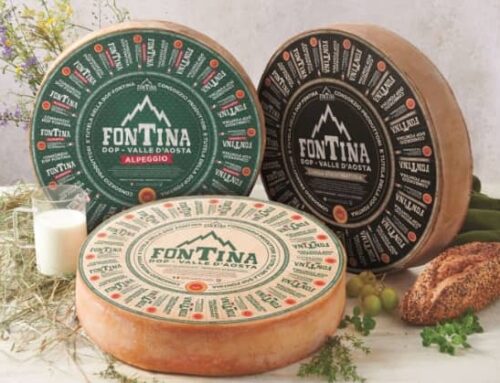 Sono ora effettive le modifiche al disciplinare della Fontina Dop: riguardano le fasi di trasformazione e di stagionatura