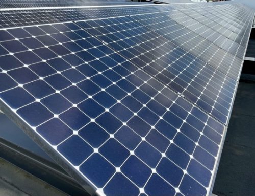 Agrisolare: dal Masaf altri 800 milioni di euro per il fotovoltaico sui tetti delle imprese agricole