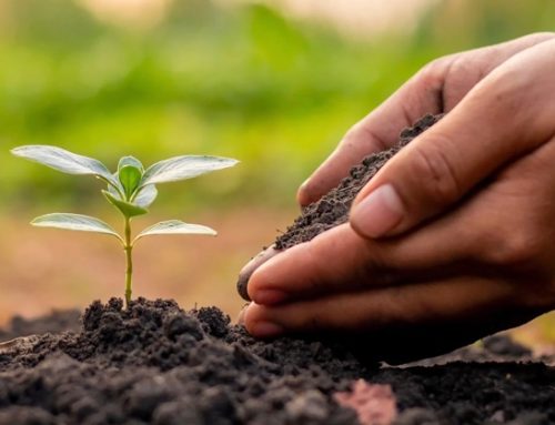 Federbio esprime soddisfazione per l’intesa sul ‘Marchio del biologico italiano’